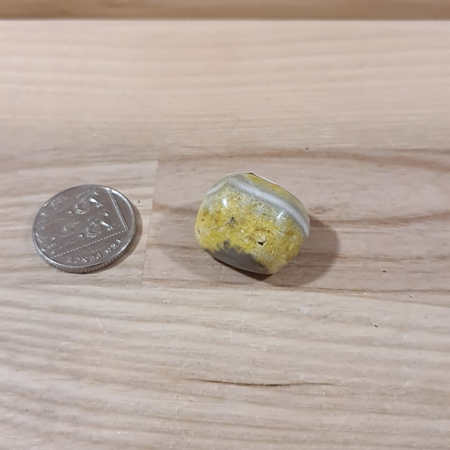 Bumble Bee Jasper