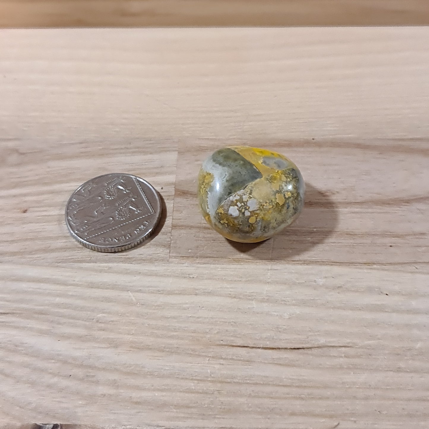 Bumble Bee Jasper