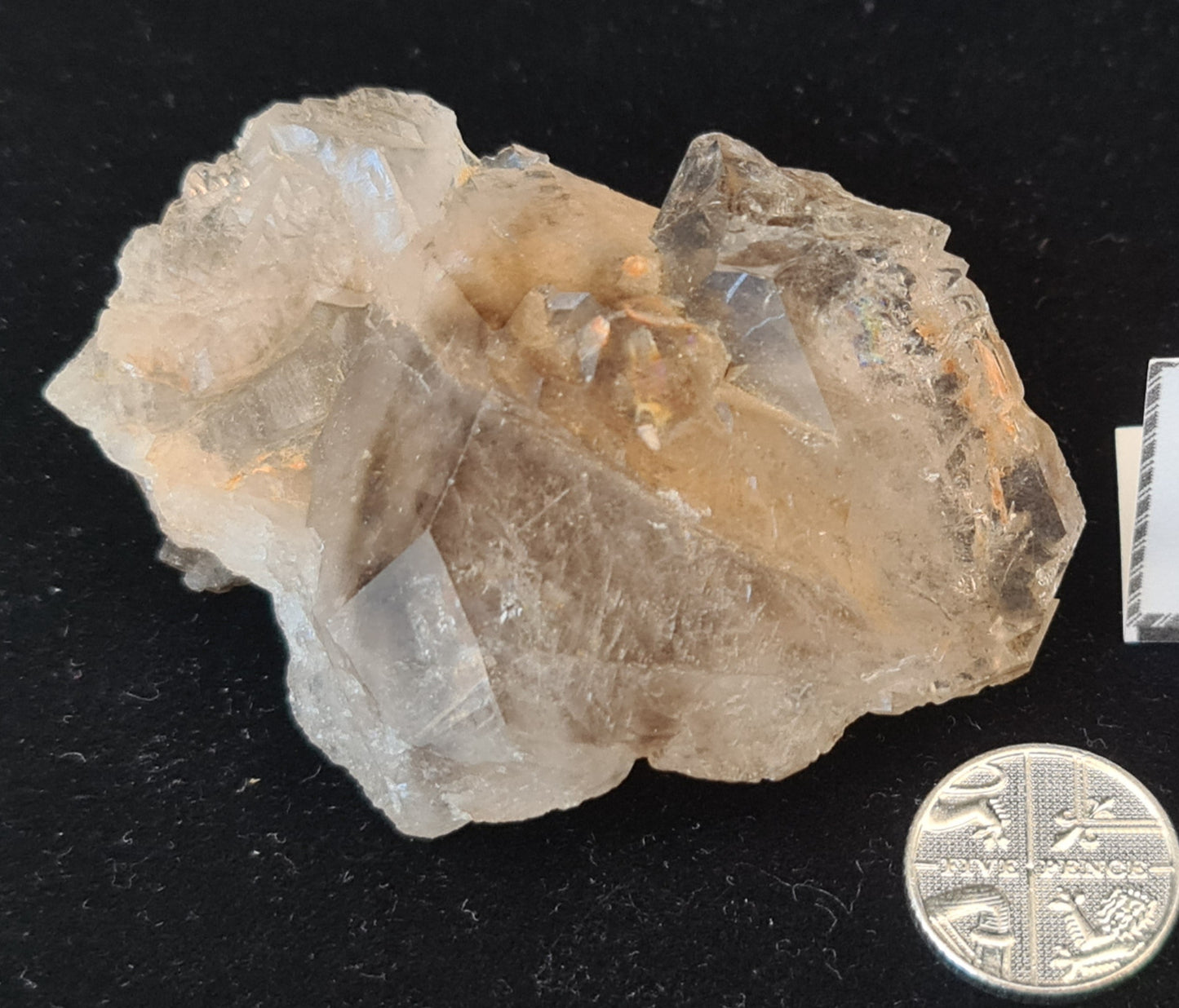 Brazilian Smokey Quartz - SQ21