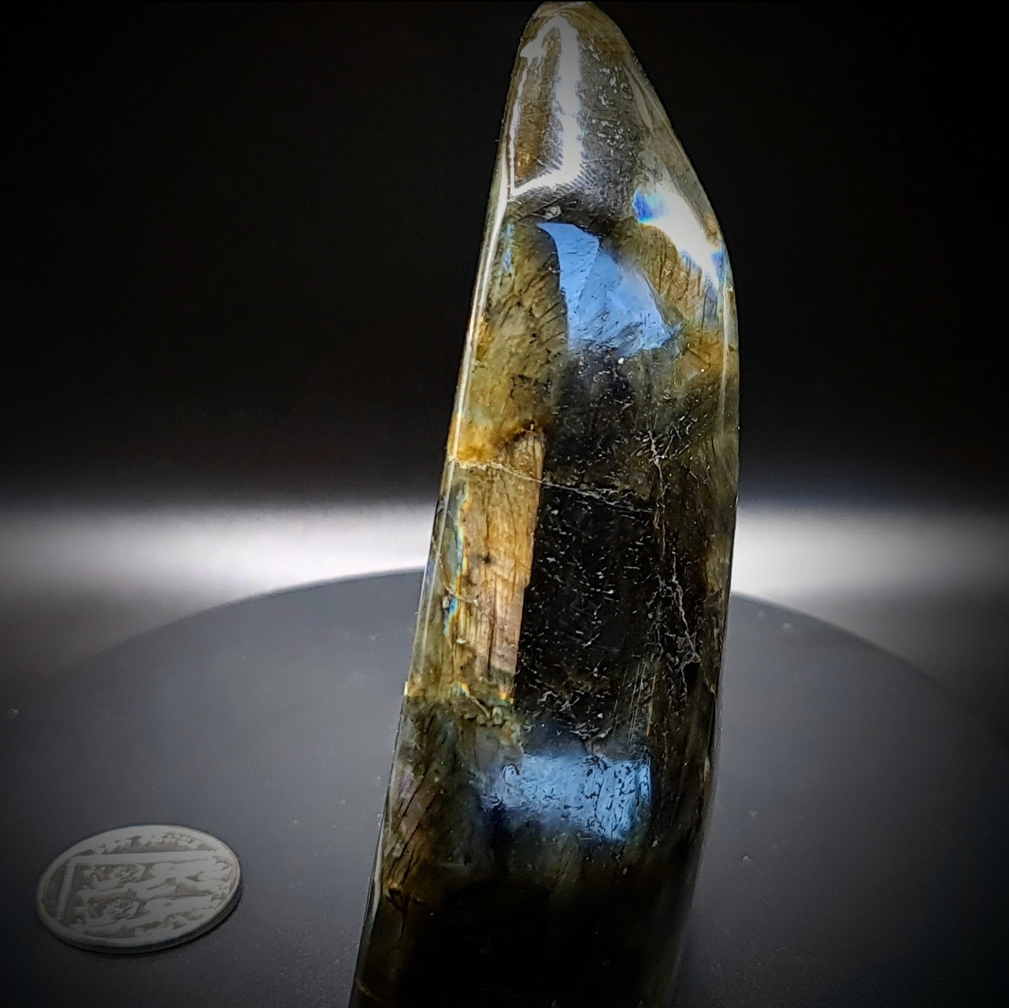 Labradorite Polished Freeform - LB3