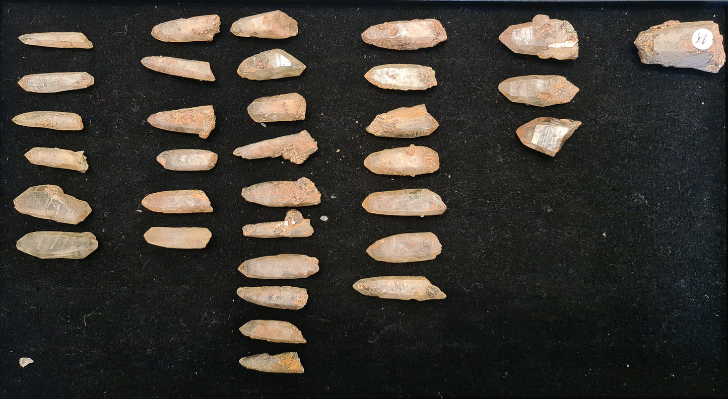 Witches Finger