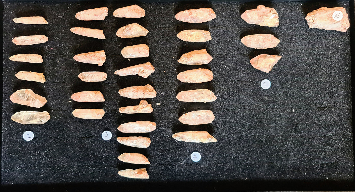 Witches Finger