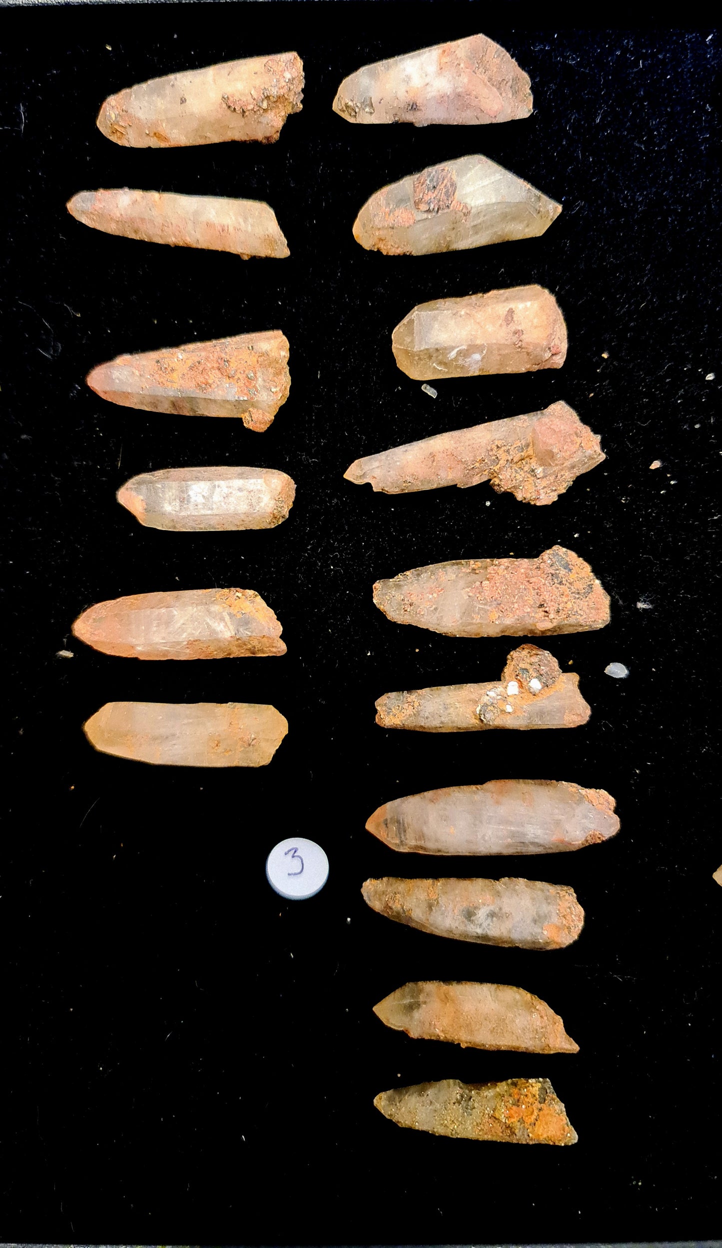 Witches Finger