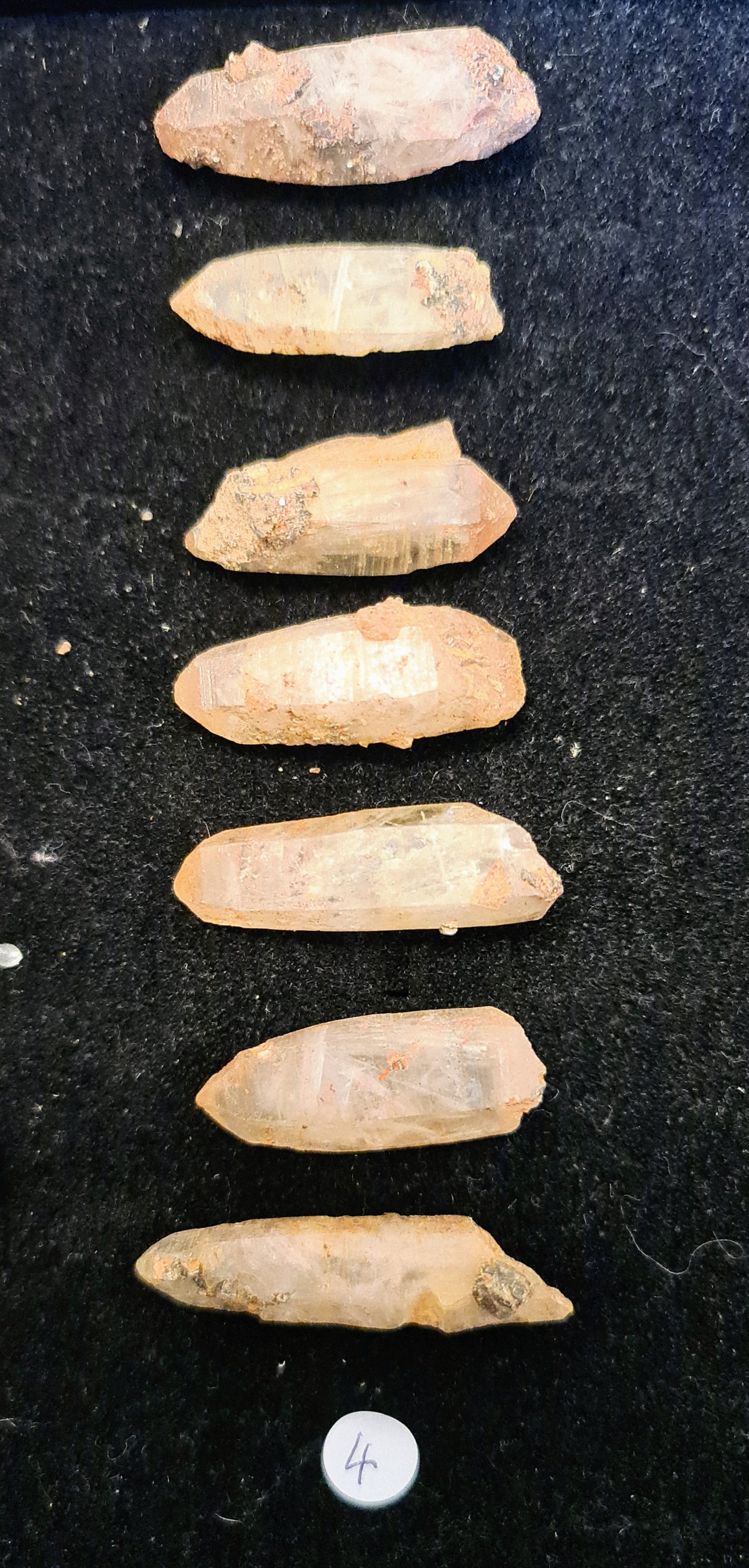 Witches Finger