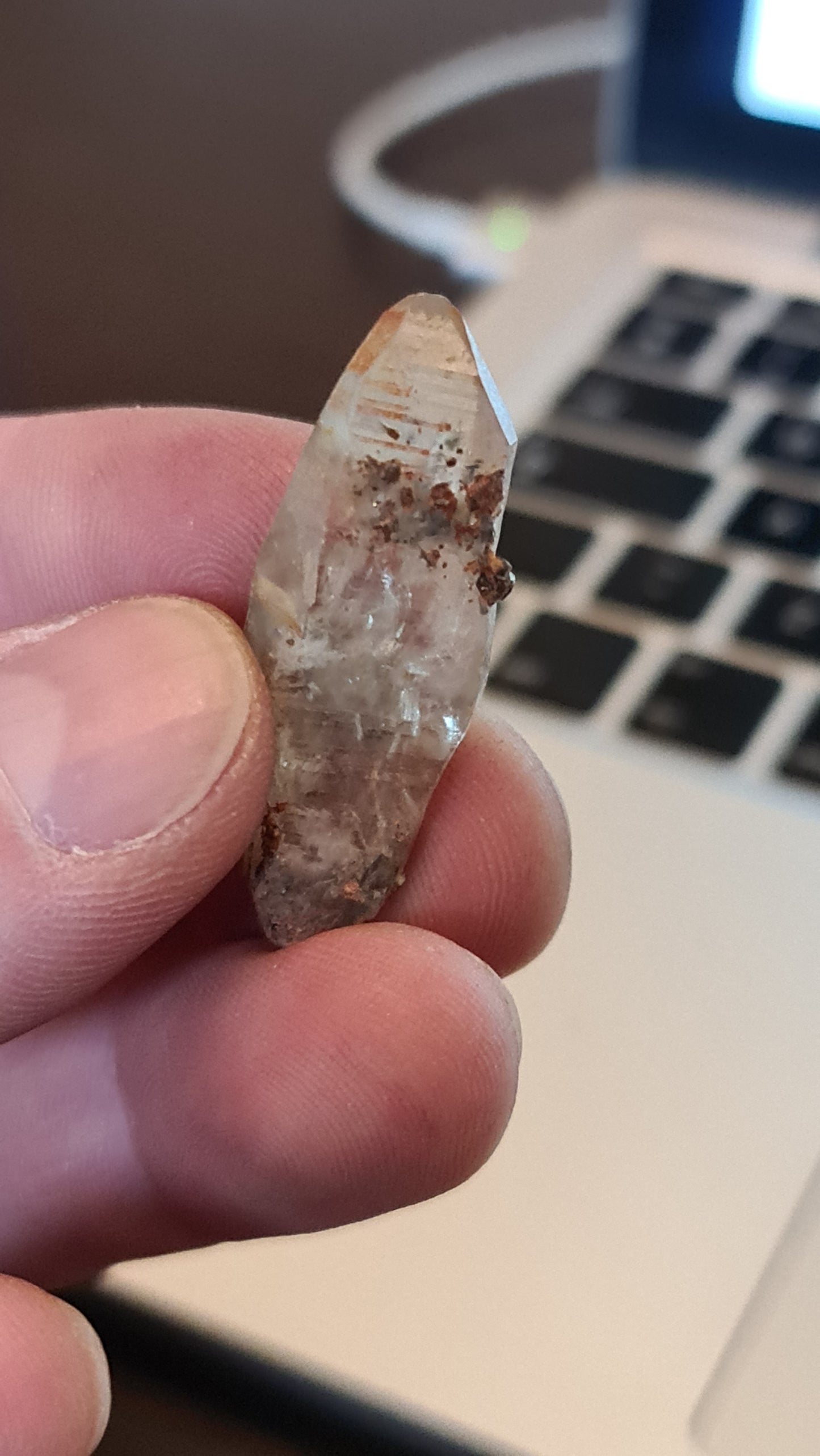 Witches Finger