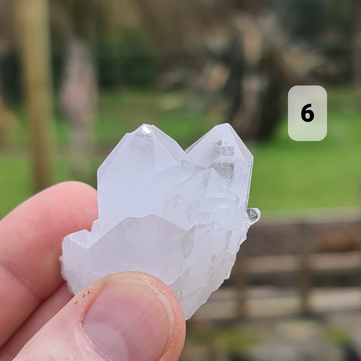 Clear Quartz Mini Cluster - Q6