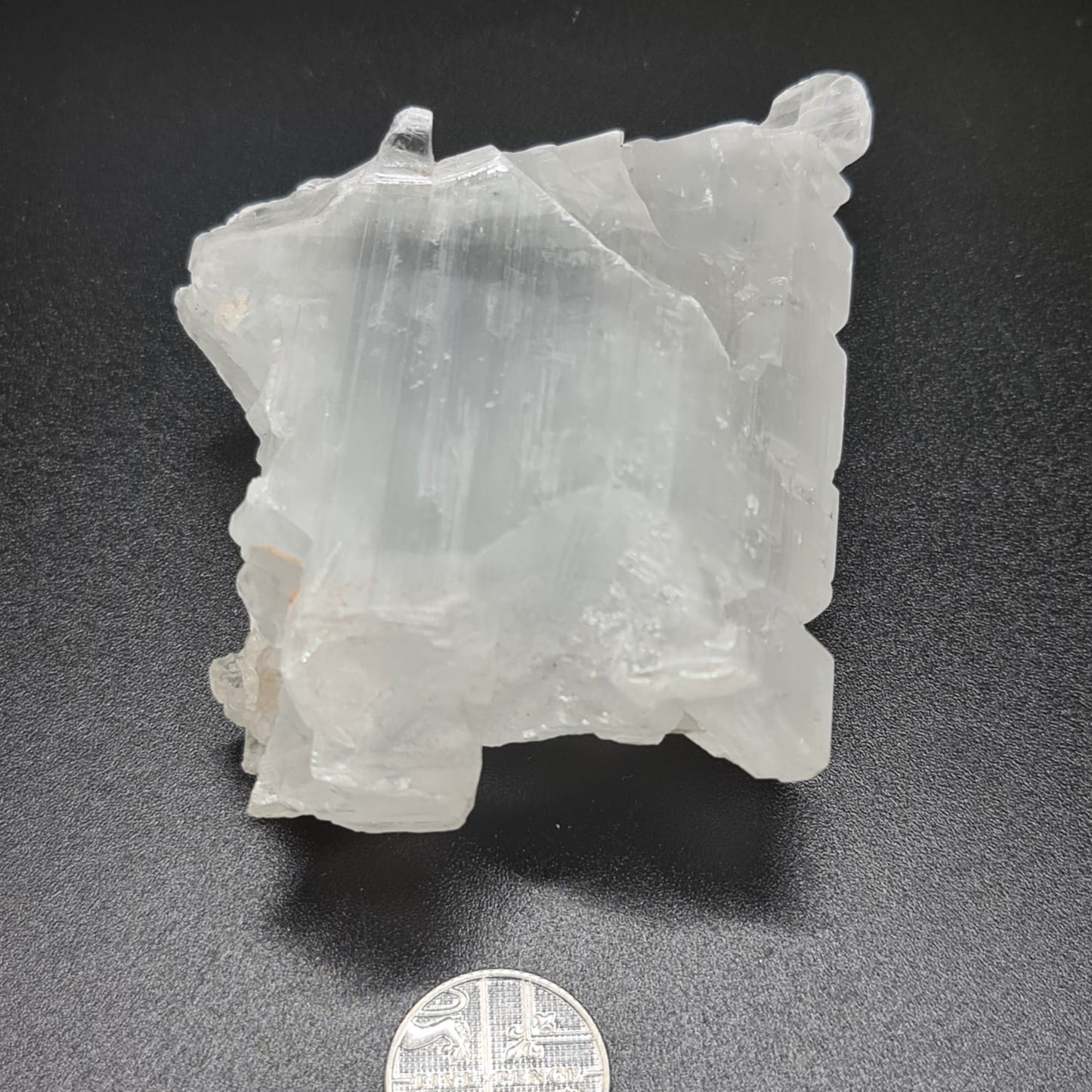 Fishtail Selenite - FT11
