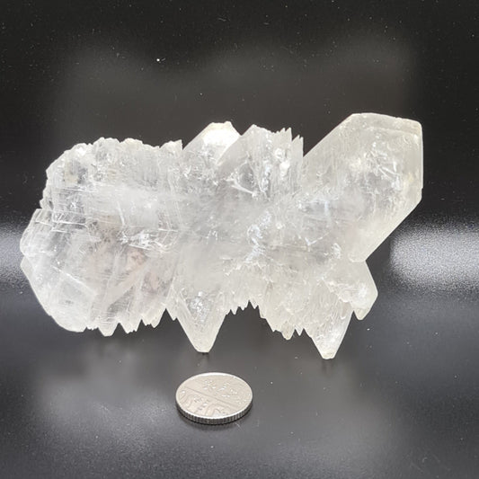 Fishtail Selenite - FT14