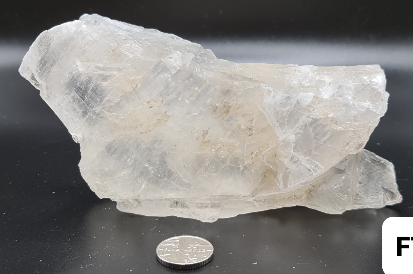 Fishtail Selenite - FT20