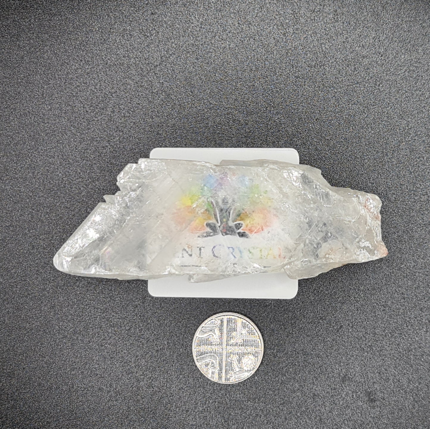 Fishtail Selenite - FT3