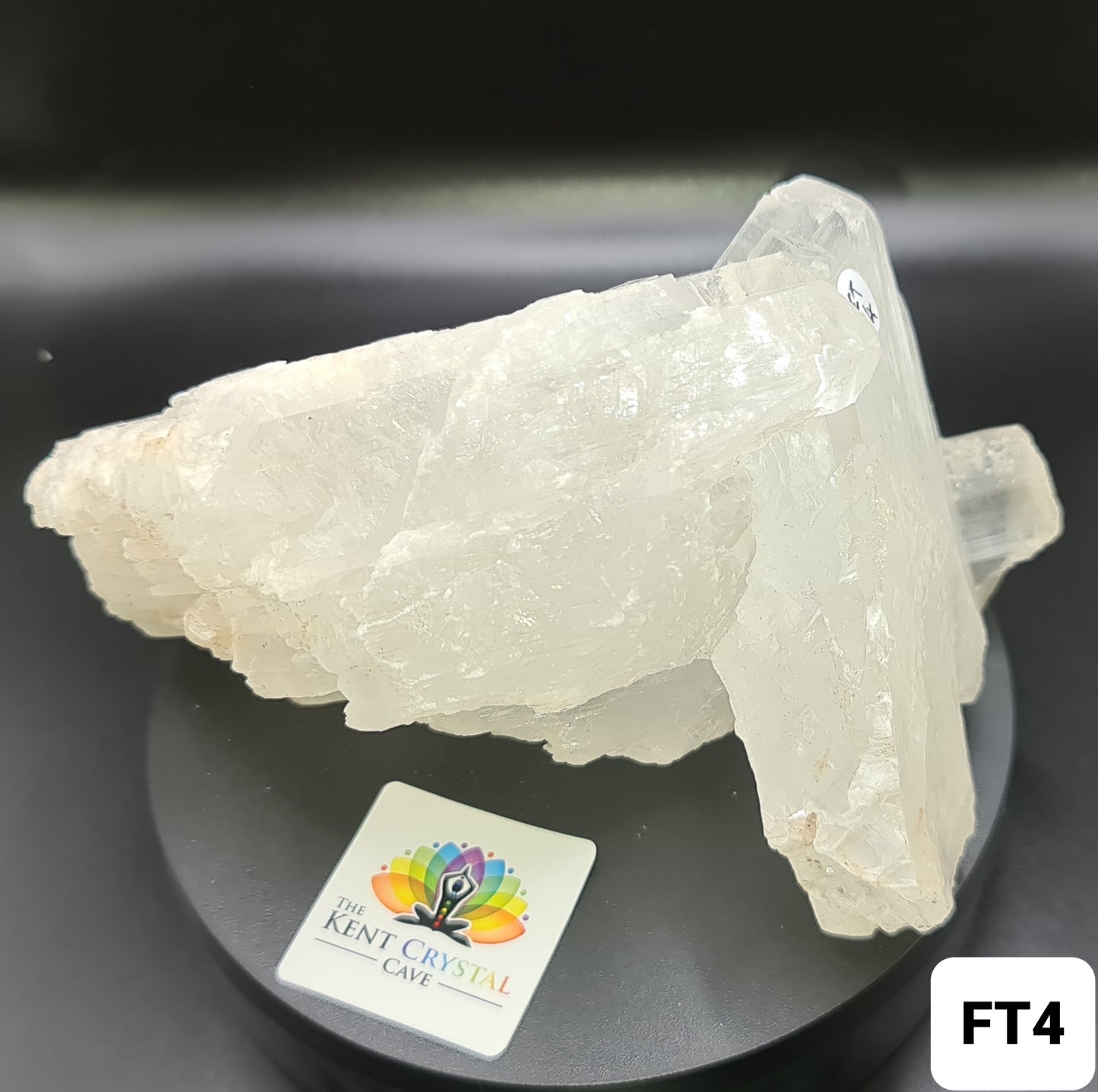 Fishtail Selenite - FT4