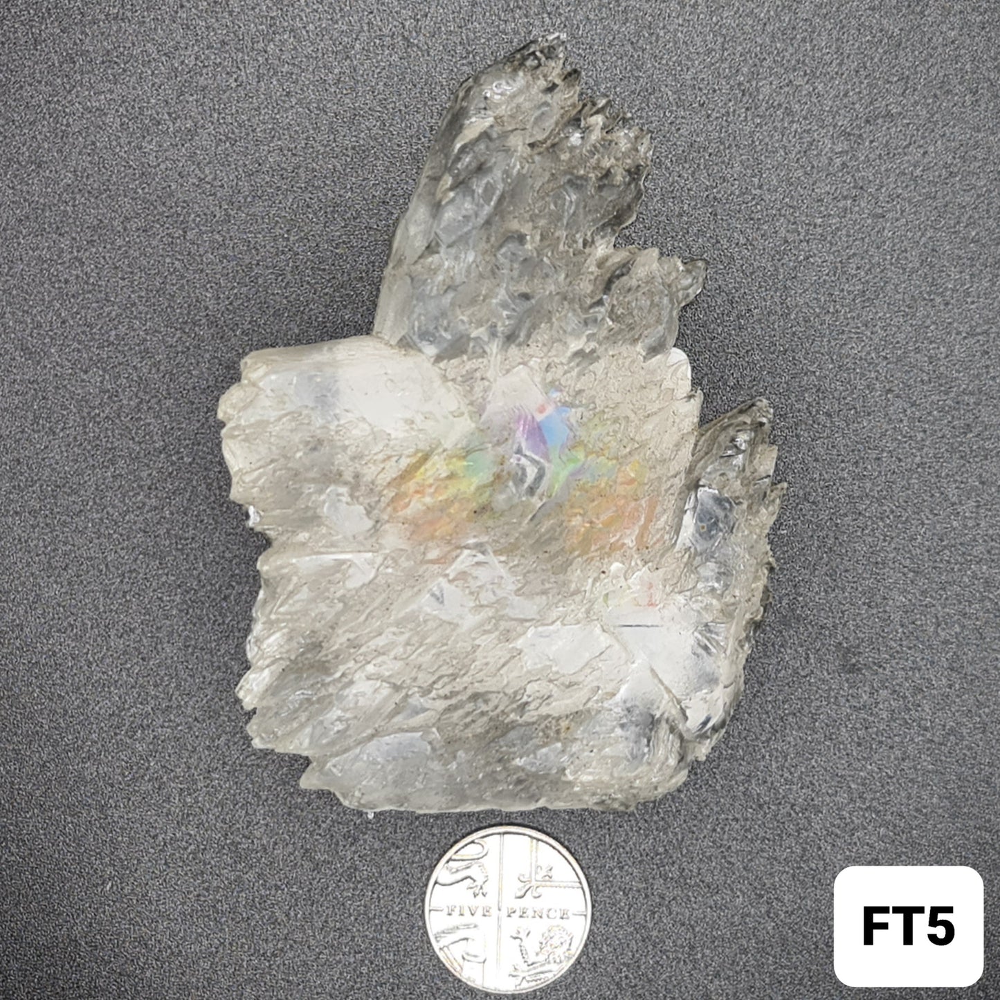 Fishtail Selenite - FT5