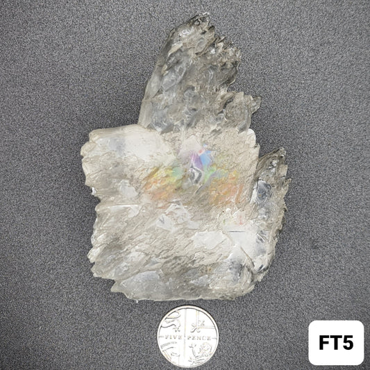 Fishtail Selenite - FT5