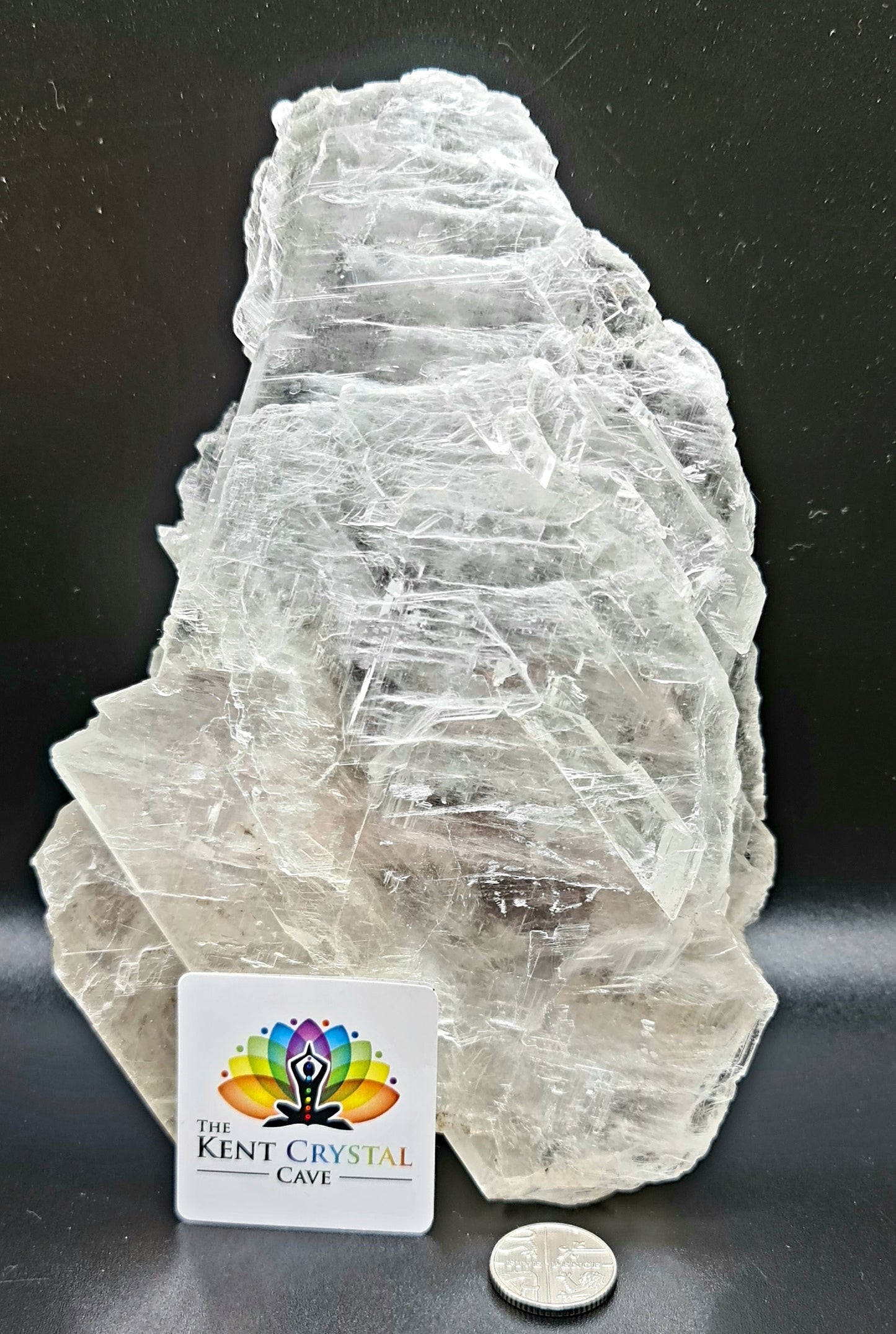 Fishtail Selenite - FT8