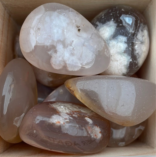 Flower Agate Tumblestones (large)