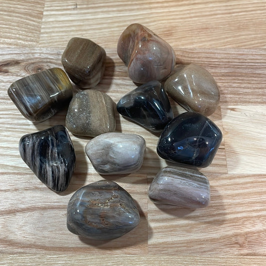 Fossillised Wood Tumblestone Large