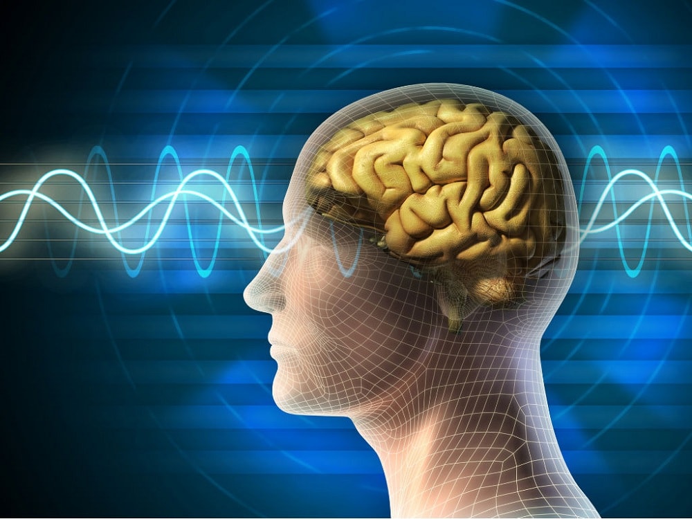 Manifestation Guide (PDF Download)